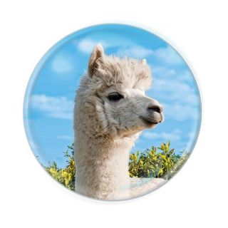 Obrázek z Magnet kulatý 5cm - lama (12) 
